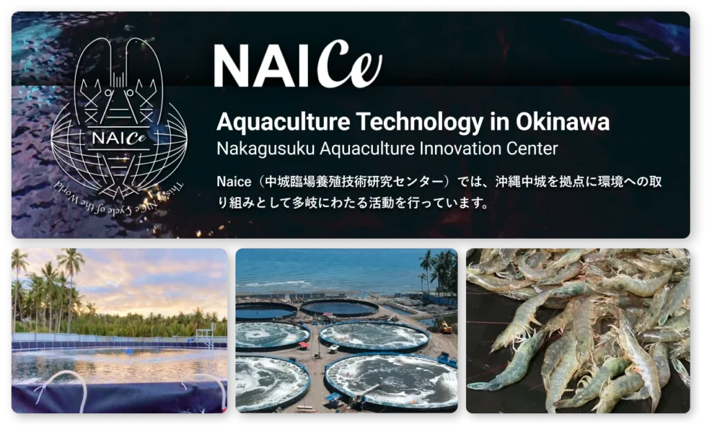 NAICe