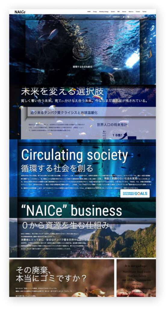 NAICeサイト画像