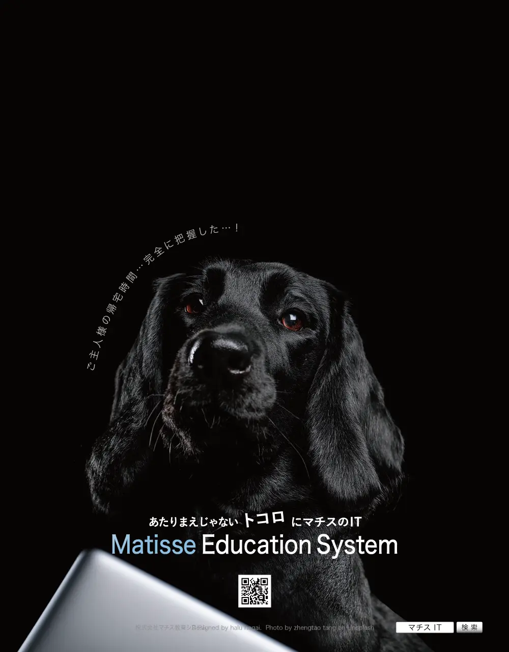マチスの犬